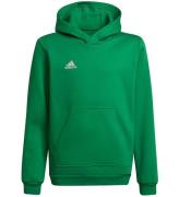 adidas Performance Hoodie - Ent22 Hoody Y - Teagrn/White