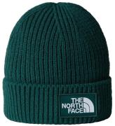 The North Face Mössa - Stickad - Logo Box Cuffed - Anka Green