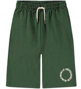 Molo Shorts - Add - GummitrÃ¤d