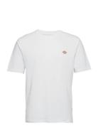 Ss Mapleton Tee White Dickies