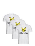 3 Pack Printed T-Shirt White Lyle & Scott