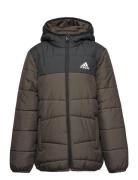 Padded Winter Jacket Brown Adidas Sportswear