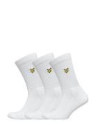 Hamilton White Lyle & Scott