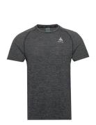 Odlo T-Shirt Crew Neck S/S Essential Seamless Grey Odlo