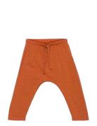 Sghailey New Owl Pants Orange Soft Gallery