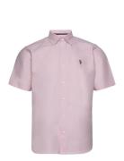 Uspa Shirt Ss Bennett Men Pink U.S. Polo Assn.