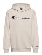 Hooded Sweatshirt Beige Champion