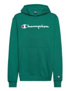 Hooded Sweatshirt Green Champion