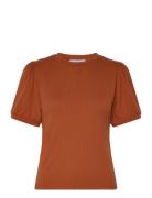 Johanna T-Shirt Brown Minus