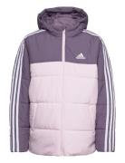 Jg Cb Pad Jkt Purple Adidas Sportswear