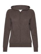 Hoodie Brown Davida Cashmere