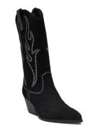 Walkover Boot Black Steve Madden