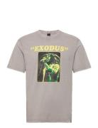 Onsbob Marley Reg Ss Tee Grey ONLY & SONS