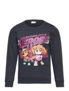 Nmfoditte Pawpatrol Sweat Bru Cplg Navy Name It