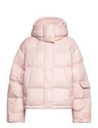 Steilia Short Down Jacket Pink HOLZWEILER