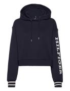 Reg Monotype Slv Crop Hoodie Navy Tommy Hilfiger