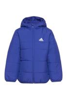 Padded Jacket Kids Blue Adidas Sportswear