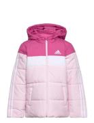 Padded Jacket Kids Pink Adidas Sportswear