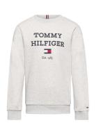 Th Logo Sweatshirt Grey Tommy Hilfiger