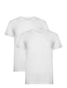 C-Neck T-Shirt 2-Pack White GANT