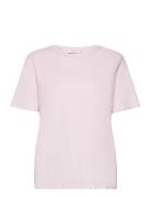 Mschjo Organic Tee Pink MSCH Copenhagen