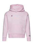 Hooded Sweatshirt Pink Champion