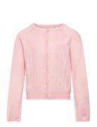 Cardigan Pointelle Pink Creamie