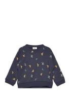 Dragon Sweatshirt Baby Navy Müsli By Green Cotton