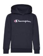 Hooded Sweatshirt Navy Champion