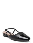 Belinda Ballerina Black Steve Madden