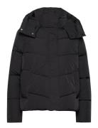 Modern Padded Jacket Black Calvin Klein