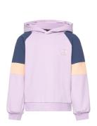 Hmlelly Hoodie Purple Hummel