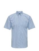 Onsremy Ss Slim Wash Stripe Oxford Shirt Blue ONLY & SONS