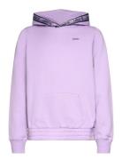 Levi's® Taping Pullover Hoodie Pink Levi's