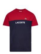 Tee-Shirt&Turtle Patterned Lacoste