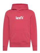 Levi's Poster Logo Pullover Hoodie Red Levi's