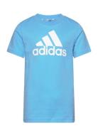 Essentials Logo T-Shirt Blue Adidas Performance