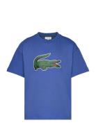 Tee-Shirt&Turtle Blue Lacoste