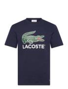 Tee-Shirt&Turtle Neck Navy Lacoste