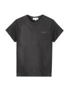 Popincourt Amore /Gots Black Maison Labiche Paris