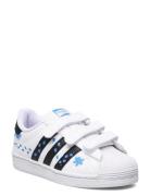 Superstar Cf C White Adidas Originals