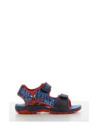 Spiderman Sandal Patterned Leomil