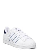 Superstar J White Adidas Originals