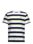 Striped T-Shirt White Tom Tailor