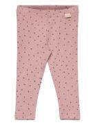 Legging Modal Dot Pink Petit Piao