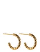 Palma Mini Hoop 12 Mm Gold By Jolima