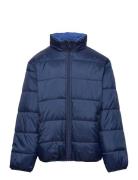 Jacket Reversible Blue Lindex