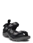 Tanza Black Teva