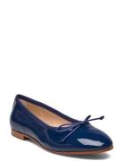 Ballerina Classic - Fur Blue Apair