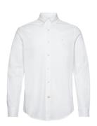 Eddie Pique Shirt - Slim Fit White Morris